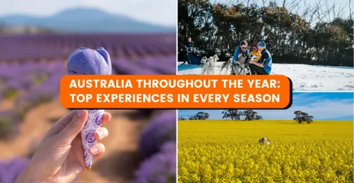 image for article Sunshine AND Snow: Top Things to Do in Australia All Year Round!
