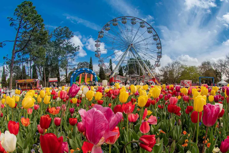 floriade canberra