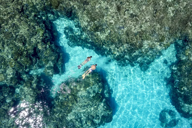 great barrier reef