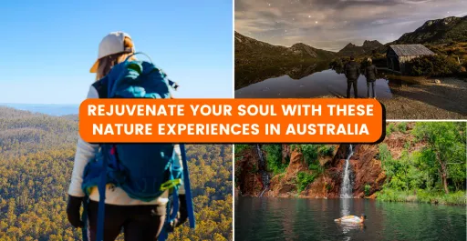 image for article Reconnect with Nature: 8 Experiences in Australia for a Rejuvenating Trip