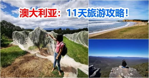 image for article 11天 澳洲旅程 ：带你看山看海看夜空！