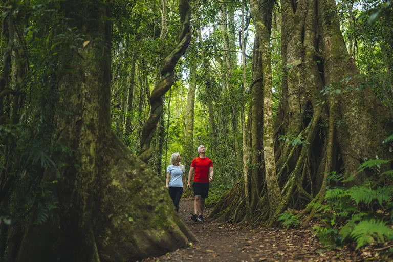 lamington national park