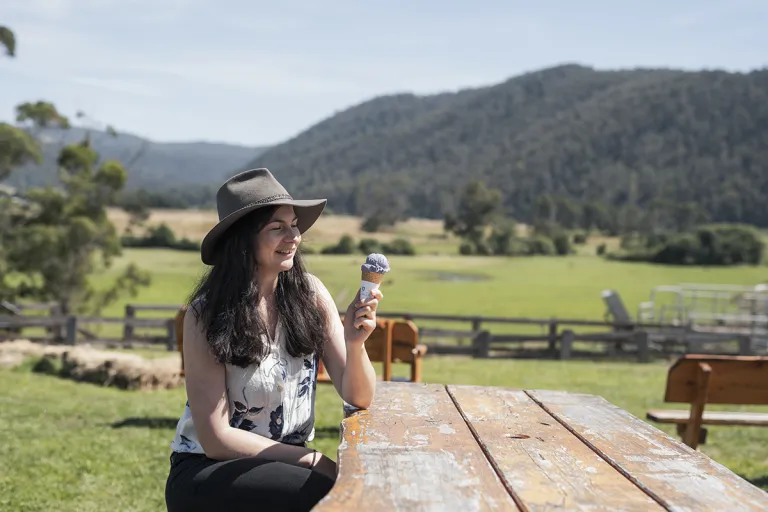 pyengana dairy farm, tasmania