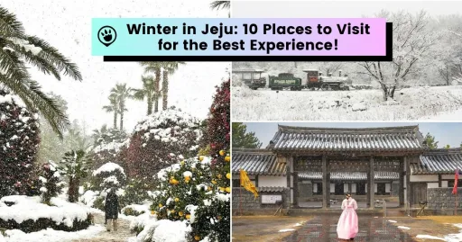 image for article Winter in Jeju: Top 10 Destinations You Should Visit for the Best Experience! 