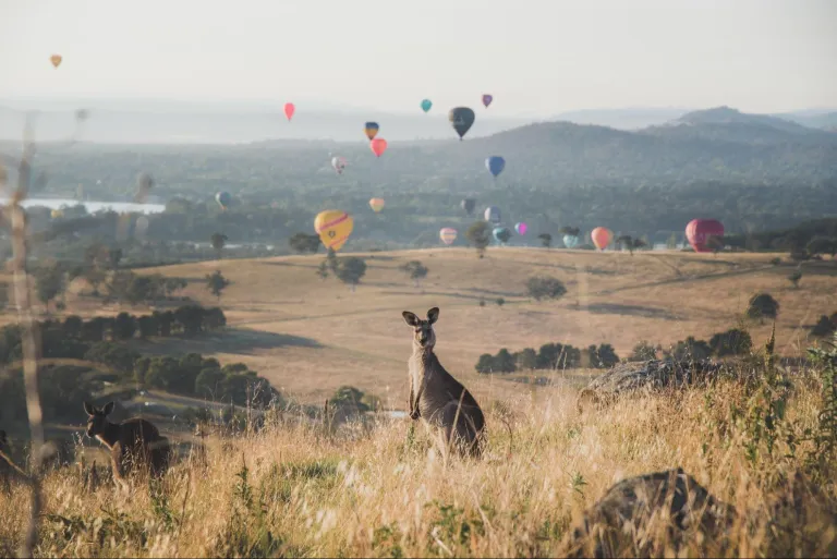 destinasi popular australia