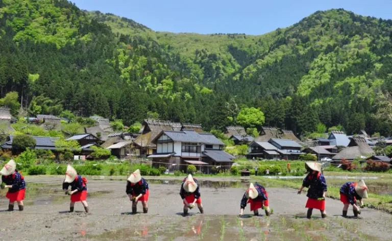 日本京都十大不容错过的隐藏景点！