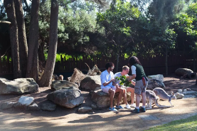 Taronga Zoo Sydney, New South Wales &copy; Destination NSW