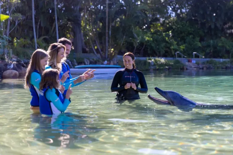 Sea World Marine Park, Queensland &copy; Tourism and Events Queensland