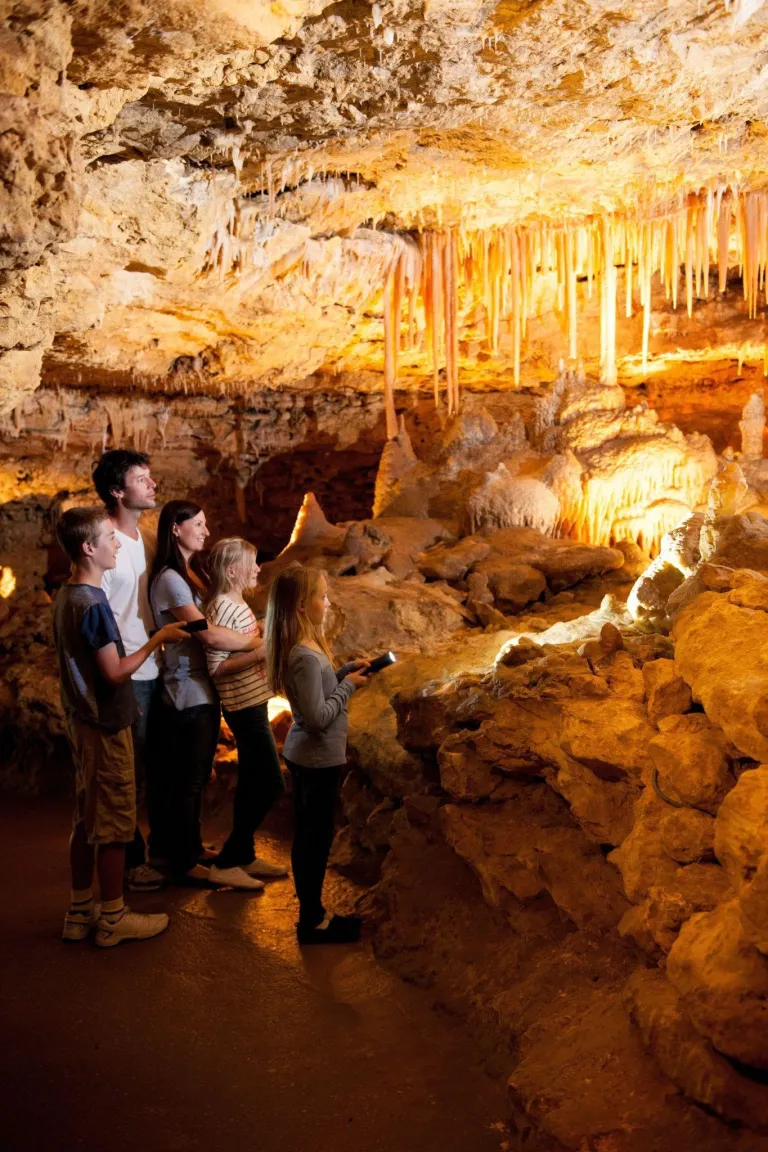 Naracoorte Caves National Park, Limestone Coast, South Australia &copy; Mike Haines