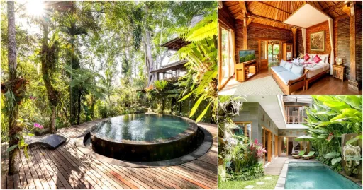 image for article 巴厘岛 11家 Ubud Airbnb 民宿，开启巴厘岛冒险之旅！