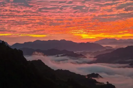 image for article Honeymoon in Sarawak: 10 Romantic Muslim-Friendly Activities