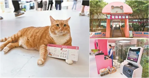 image for article 广州白云机场全新宠物航站楼 5月盛大开放，毛孩子们也能愉快飞啦！