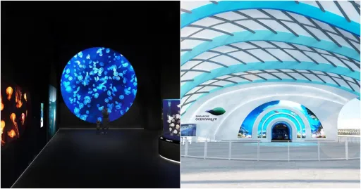 image for article Singapore Oceanarium to Officially Open on 23 July!