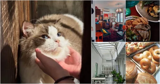 image for article 6家必去的特色新山 Cafes，让你避开人潮享受宁静时光！