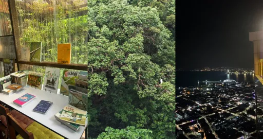 image for article 槟城攻略：8个上山下海的体验，室内户外景点都有得玩！