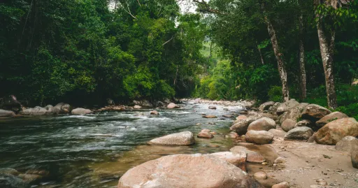 image for article Underrated National Parks in Malaysia That Deserve Your Next Adventure