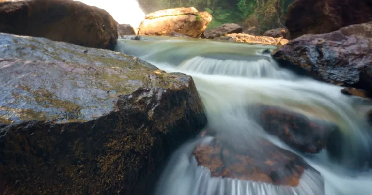 huzaimewahid via Canva Pro