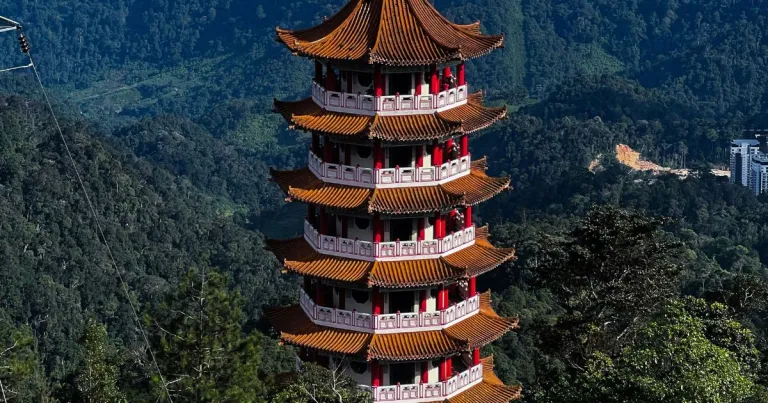 Sara Shareef via Unsplash