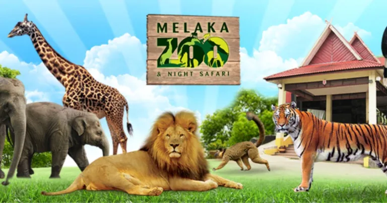 Melaka Zoo &amp; Night Safari 