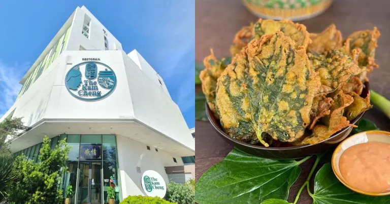 The Kam Cheng 感情The Kam Cheng 感情