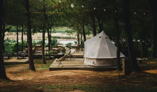 image for article Must Try 8 Glamping Sites in Malaysia