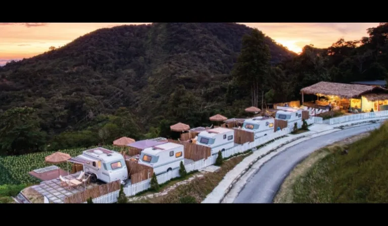 stellar goldenhill cameron 