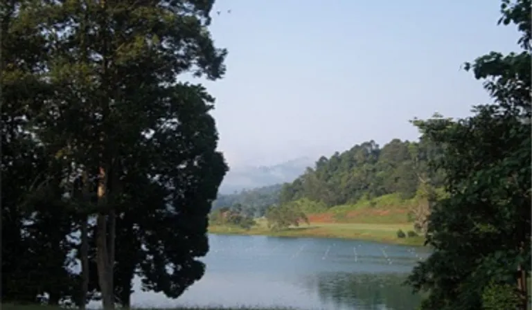 dungun municipal council 