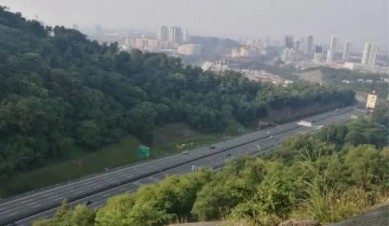 kota damansara forest