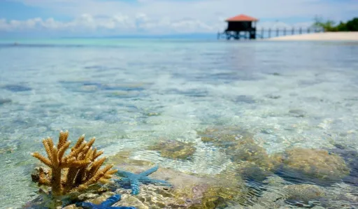 image for article Semporna: A Complete Guide to Southeast Asia’s Premier Island Paradise