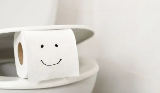 image for article The World’s Cleanest Public Toilets: Global Leaders in Sanitation