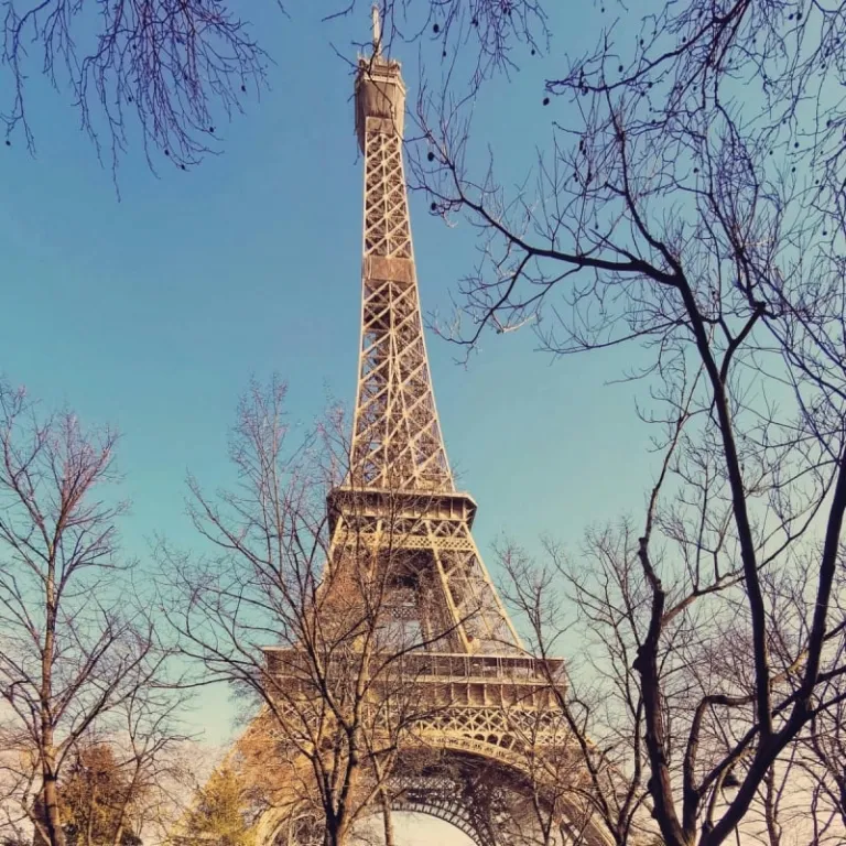 cherry blossoms outside of japan