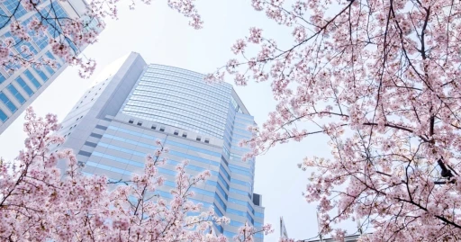 image for article 2023日本东京樱花季：盘点 8 家让你尽享樱花之美的住宿