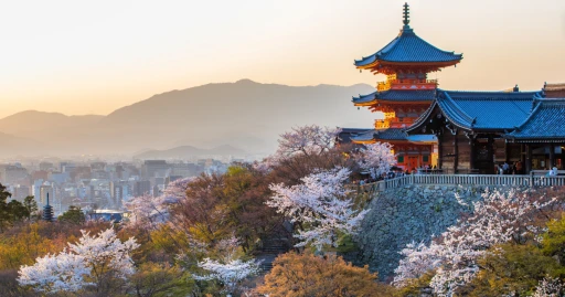 image for article 2023日本 京都 赏樱指南： 京都最热门的 赏樱景点 和住宿推荐～