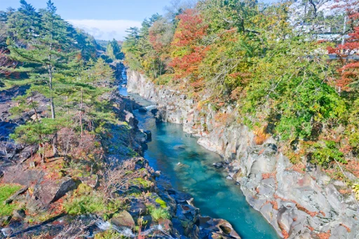 image for article Discover the Timeless Charm of Tohoku, the Hidden Travel Gem of Japan