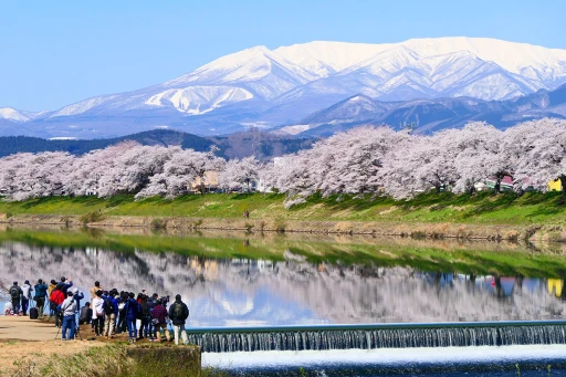 image for article 13 Fun Facts About Japan to Get You Excited About Travelling Again
