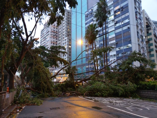 image for article Surviving a Signal 8 Typhoon in Hong Kong: A Malaysian’s Personal Experience