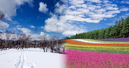 image for article 玩转日本必知旅游指南：北海道必打卡的15个景点！