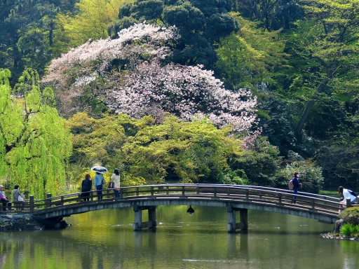 image for article 28 Things to Do in Tokyo for Malaysians Visiting for the First Time