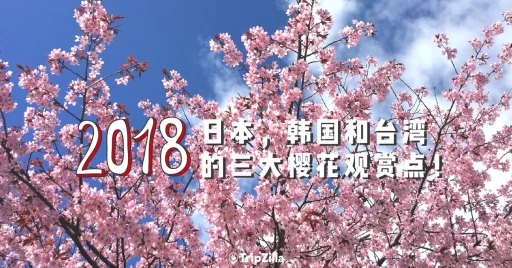 image for article 2018年日本，韩国和台湾的三大樱花观赏点 – 任君挑选！