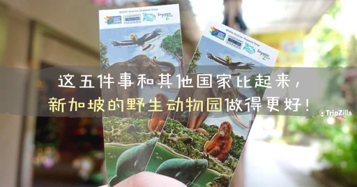 image for article 这五件事和其他国家比起来，新加坡的野生动物园做得更好！